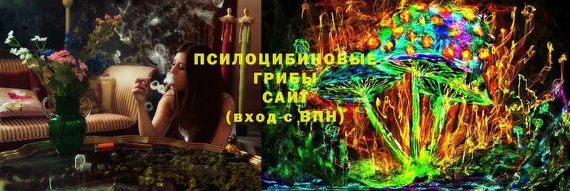 Галлюциногенные грибы Psilocybine cubensis  Петропавловск-Камчатский 